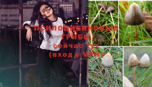 спиды Беломорск