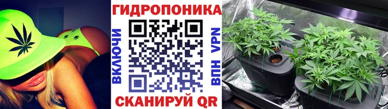 Купить где  Рыбное  Канабис Ganja 